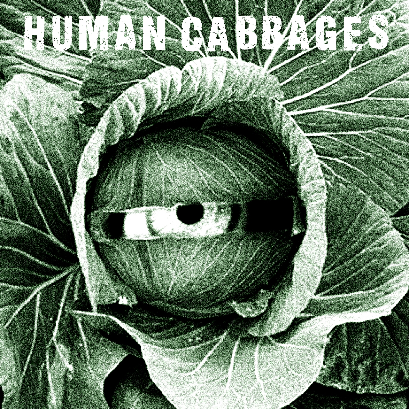 Human Cabbages